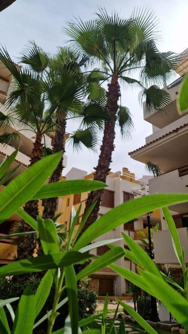 Olivia Sunny 2 Bedroom Apartament Punta Prima Торевьиа Экстерьер фото